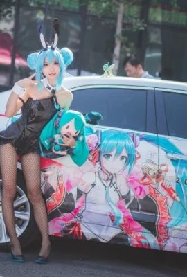 初音ミク バニーガール＠緑茄子（北京呉山五行漫画展）（9P）