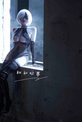 NieR:Automata 2b ファンチャイナドレス@秋和コルギ(9P)