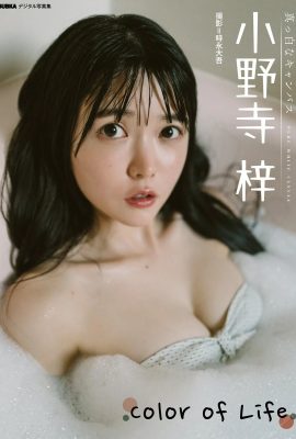 (小野寺あずさ) どんなにカバンを締めても隠せないさくらの巨乳体型…完全解放(21P)