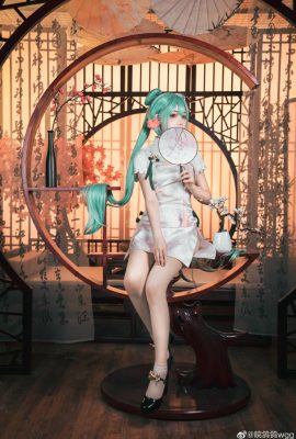 初音ミク シャオファ・初音ミク@皖 Pigeonwgg (9P)