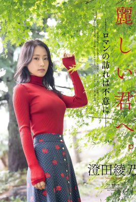 (住田彩乃) 極上の姿が魅力的…ふっくらとした深い溝が目を引く(11P)