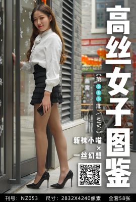 【ハイシルクレディースシリーズ】A Touch of Fantasy No.053 ViVi ハイヒールシルクレッグ(59P)