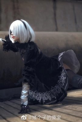 NieR:Automata 2B @小小少宝(9P)