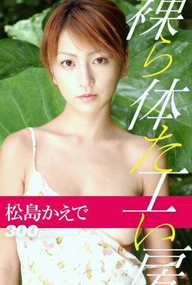 松島かえで(Photobook) 裸體工房 (205P)