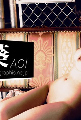 (グラフィス) 葵「A」(116P)