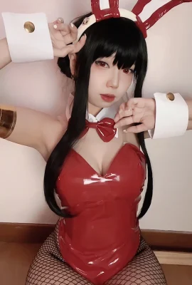 (コスプレ) ハカオサン – バニーヨール