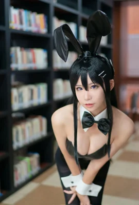 アニメブロガーLoves Teacher_phd  – バニーガールシニアシスター（8p）