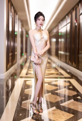 王Xinyaoのチュールの関心（98p）